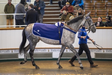 Europe&rsquo;s Premier Midwinter Sale