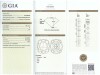 3.01ct Diamonds Studs GIA - 3