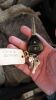 2009 Toyota Corolla ZRE15 Ascent Hatch Unknown - 8