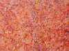 BELINDA GOLDER KNGWARREYE "Bush Plum" Acrylic on canvas. Painted in 2022. Comes with Certificate of Authenticity. Artwork is stretched and ready to hang. 95cm x 130cm