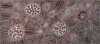 ROSEMARY PORTER NAMPITJINPA "Minma Tjukurrpa"Acrylic on canvas.Painted in 2021.Comes with Certificate of Authenticity.Artwork is stretched and ready to hang.89cm x 200cm