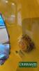 Vintage Shell-Branded Repurposed Industrial Mirror, Yellow Metal Frame - 2