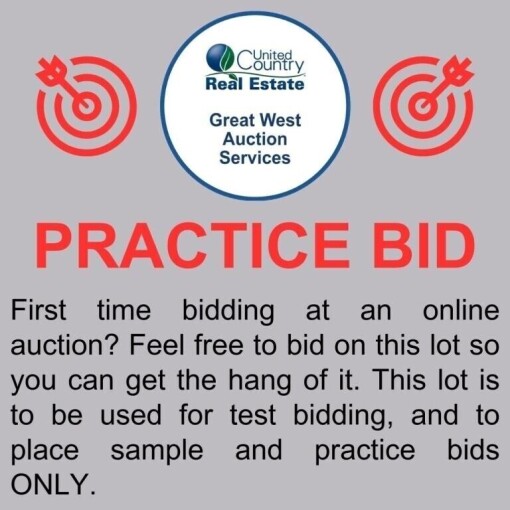 First time bidding at an online auction?