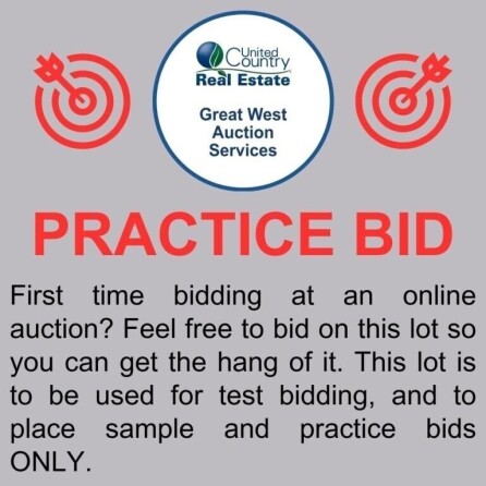 First time bidding at an online auction?