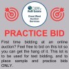 First time bidding at an online auction?