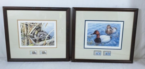 C.E.Beacon 7689/9500 framed wildlife print and