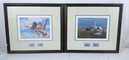 Pair of stunning wildlife prints. McLean