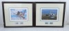 Pair of stunning wildlife prints. McLean