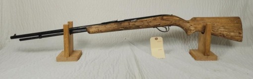 Sears .22 Rifle