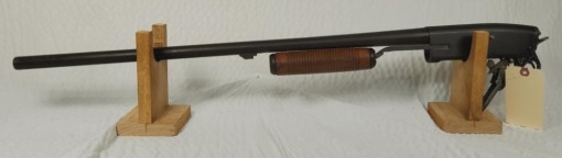 Springfield 12 ga Shotgun