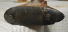 Stevens 410 Shotgun - 3