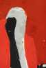 JAMES BROOKS (1906-1992) PENCIL SIGNED COLOR LITHO - 9