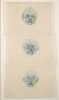 KIKI SMITH (B. 1954) LITHOGRAPH WITH COLLAGE - 2