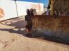 Cat D6D Crawler Dozer - 9