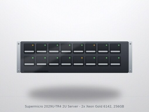 Supermicro 2029U-TR4 2U Server - 2x Xeon Gold 6142, 256GB