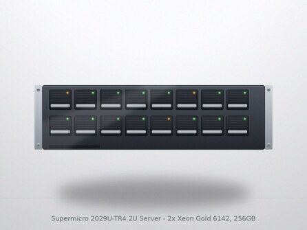 Supermicro 2029U-TR4 2U Server - 2x Xeon Gold 6142, 256GB