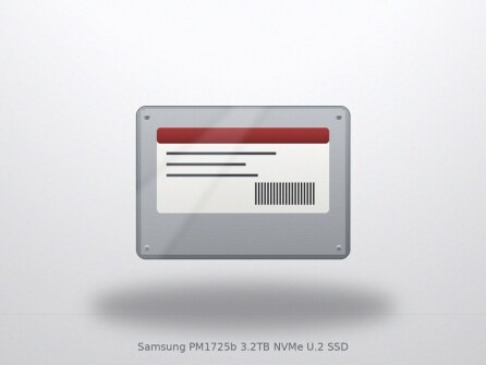 Samsung PM1725b 3.2TB NVMe U.2 SSD