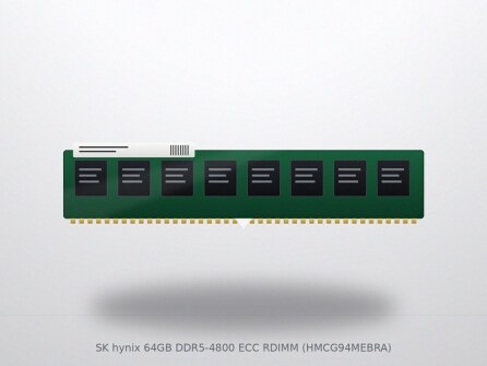 SK hynix 64GB DDR5-4800 ECC RDIMM (HMCG94MEBRA)
