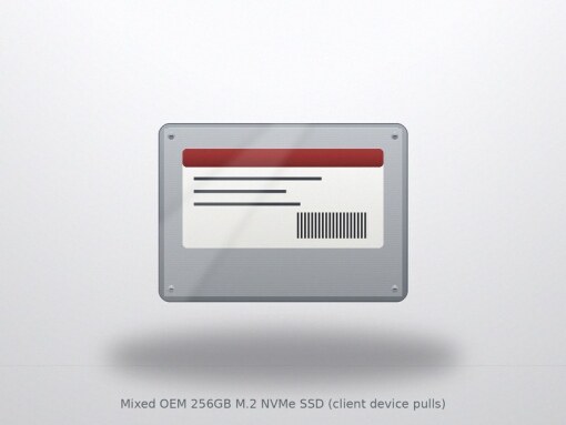 Mixed OEM 256GB M.2 NVMe SSD (client device pulls)