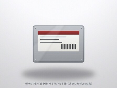 Mixed OEM 256GB M.2 NVMe SSD (client device pulls)
