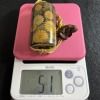 Wooden Inro with Maki-e Sixteen-Petal Chrysanthemum Design, 51g - 15